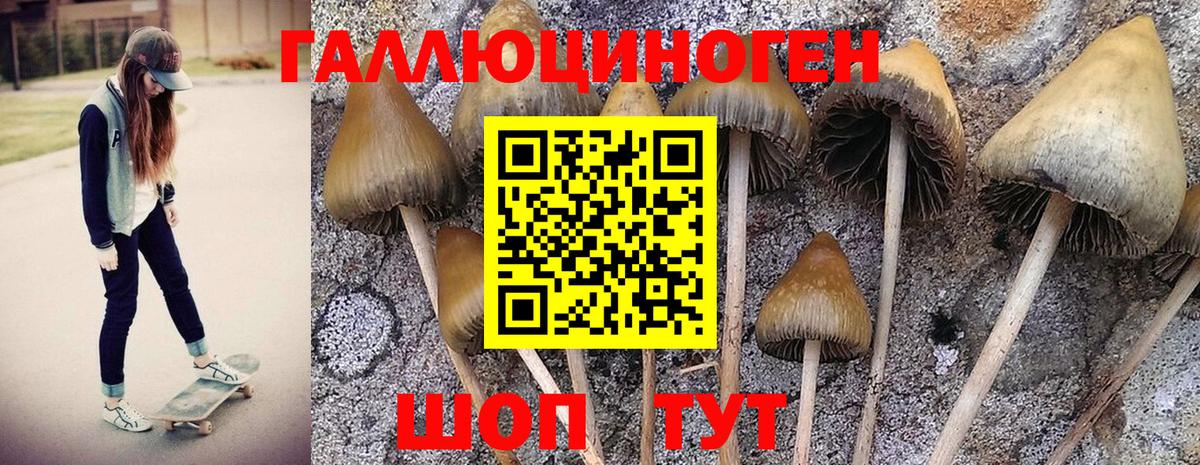 Анжеро-Судженск  Псилоцибиновые грибы Magic Shrooms  Галлюциногенные грибы Magic Shrooms  Вход с VPN 